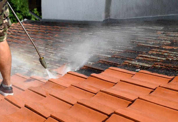 Best Best Pressure Washing Companies  in South Beach, FL
